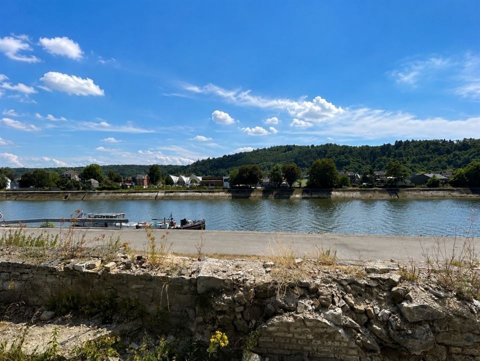 La Meuse et le halage vus depuis le terrain de la résidence